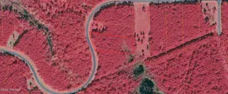 278 Garbacon Drive, Beaufort, NC 28516 – photo 6: 2026-05-21_19-29-26