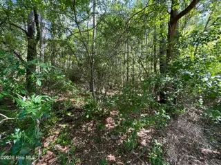 304 Eastman Road, Southern Pines, NC 28387 – photo 2: Eastman Rd- 1