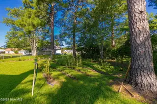 114 Wolfpack Court, Havelock, NC 28532 – photo 15: 16-web-or-mls-cchadwick-visuals-114-wolf