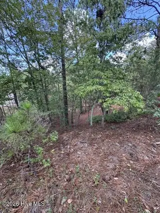 106 Parker Court, West End, NC 27376 – photo 7: 7