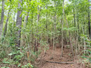 Lot 45 45 Near 519 Deer Lane, Tabor City, NC 28463 – photo 8: IMG_20260830_142121325_HDR_AE