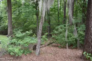 Lot 6 River Road, Blounts Creek, NC 27814 – photo 4: 4 Lot Photo