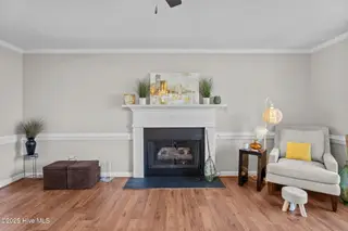 105 Barrington Court, Rocky Mount, NC 27803 – photo 22: Gas Fireplace