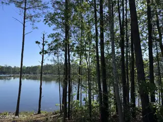 1012 Lake Norman Lane, Leland, NC 28451 – photo 2: tempImageCaKnTY