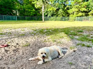 808 205 Black Swan Road, New Bern, NC 28560 – photo 16: Dog Park