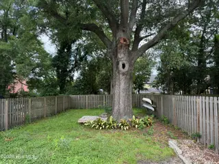 713 Ann Street, Wilmington, NC 28401 – photo 10: IMG_2749