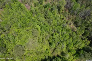4758 Princess Ann Road, Chadbourn, NC 28431 – photo 19: Image 17