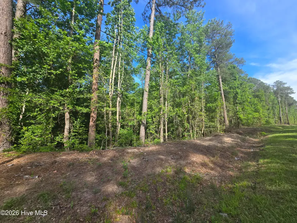 Tbd 35-40 Cabins Creek Road, Vass, NC 28394 – photo 1 of 10: 20260508_162759