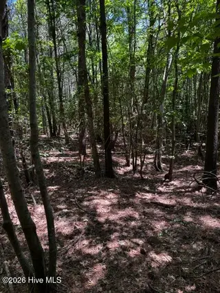 Lot 1 Dan Road, Robbins, NC 27325 – photo 15: 14