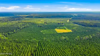 795 Pollard Swamp Road, Vanceboro, NC 28586 – photo 3: 3-print-DJI_0278 - edited