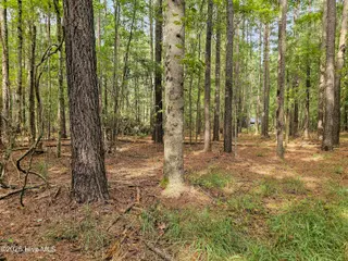 Lot 77 77 Mcgowan Road, Bath, NC 27808 – photo 6: 20250908_153134b