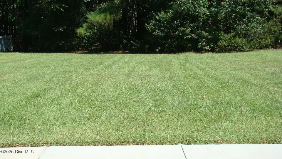 1132 421 Treyburn Court NW, Calabash, NC 28467 — lot in Brunswick Plantation, Calabash, NC, photo 1 of 17: DSC05102