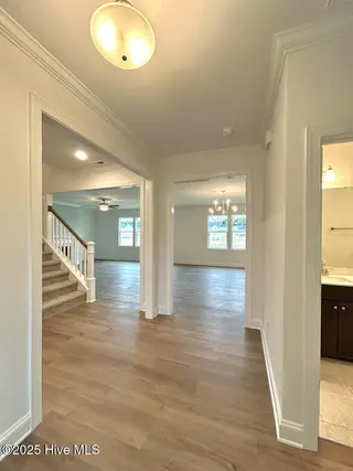 802 Tupelo Tree Drive, Hubert, NC 28539 – photo 7: IMG-3428-jpg