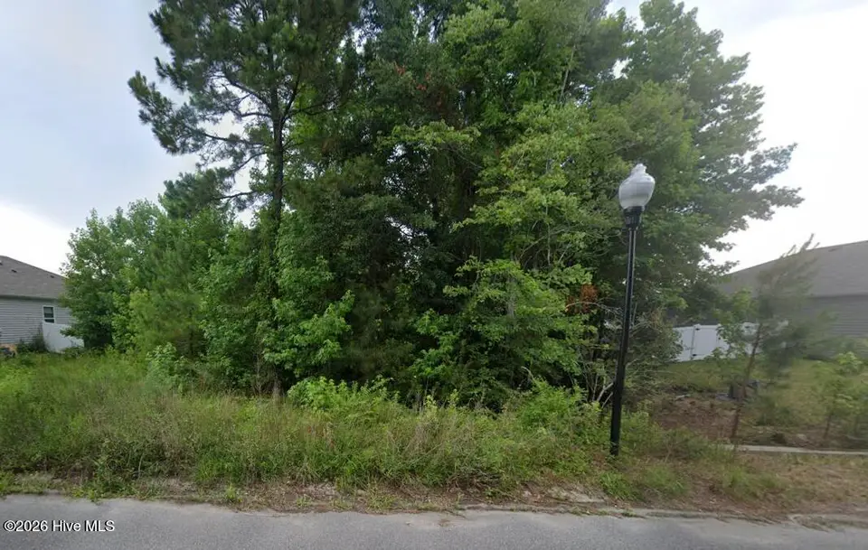 1350 Cadbury Castle Drive SE, Bolivia, NC 28422 — lot in Avalon, Bolivia, NC, photo 1 of 1: front view from street