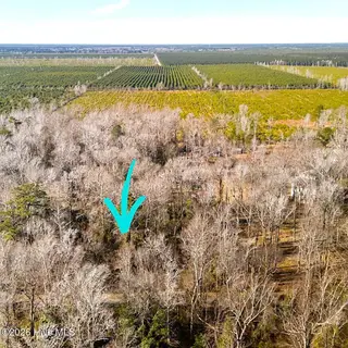 107 Tradewinds Road, Newport, NC 28570 – photo 4: 107 Tradewinds Rd
