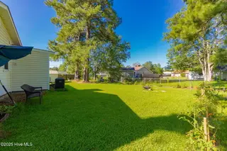 114 Wolfpack Court, Havelock, NC 28532 – photo 16: 14-web-or-mls-cchadwick-visuals-114-wolf