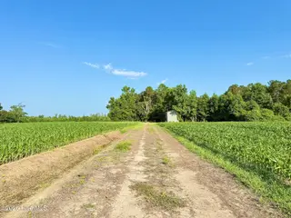 Off Swamp Fox Hwy Highway E, Tabor City, NC 28463 – photo 3: Copy of 2