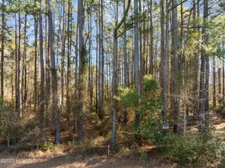 33 33 Mixon Creek Drive, Bath, NC 27808 – photo 21: 14-web-or-mls-DJI_0459