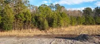 160 Cripple Creek Drive, Swansboro, NC 28584 – photo 3: 1000002733