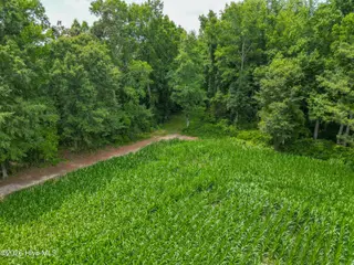 Tbd Farmers Union Road, Clarkton, NC 28433 – photo 7: ClarktonListing_MLS-13