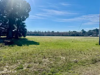 Tract 1 Haynes Lennon Highway, Cerro Gordo, NC 28430 – photo 7: IMG_3390