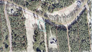 133 Antebellum Drive, Havelock, NC 28532 – photo 4: GIS Topo Map