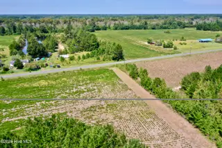 0 Bud Stephens Road, Evergreen, NC 28438 – photo 5: Pridgen 5