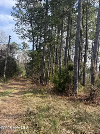 269 Creek Road, Bath, NC 27808 – photo 15: IMG_2638