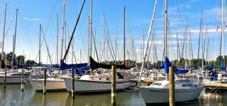 607 Pamlico River Drive, Washington, NC 27889 – photo 11: marina