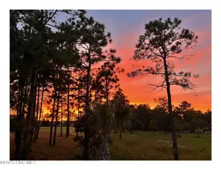 2408 Red Birch Trail NE, Leland, NC 28451 – photo 2: Martz sunset 2.pdf