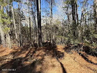 354 Belgrade Swansboro Road, Stella, NC 28582 – photo 20: IMG_9227