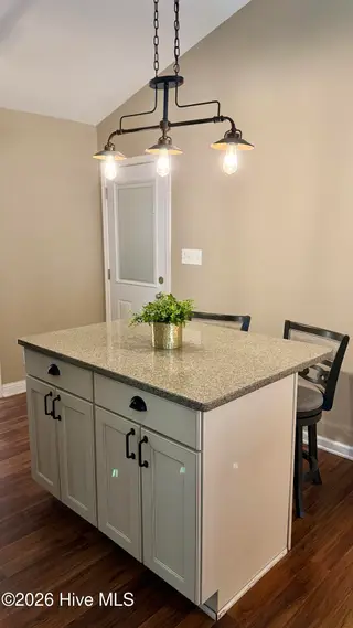 203 Hillingdale Drive, Washington, NC 27889 – photo 10: Dining Bar