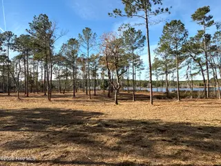 0 Norfleet Shores Road, Belhaven, NC 27810 – photo 21: IMG_0821 2
