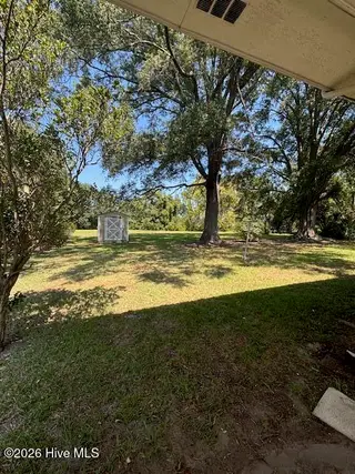 507 Hamilton Drive, Goldsboro, NC 27530 – photo 3: Backyard 1