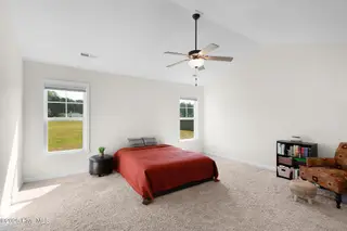 107 Peletier Shores Drive, Peletier, NC 28584 – photo 7: Primary suite with Cathedral ceiling