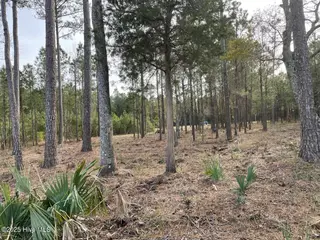 257 106 Garbacon Drive Drive, Beaufort, NC 28516 – photo 4: IMG_3536 Large