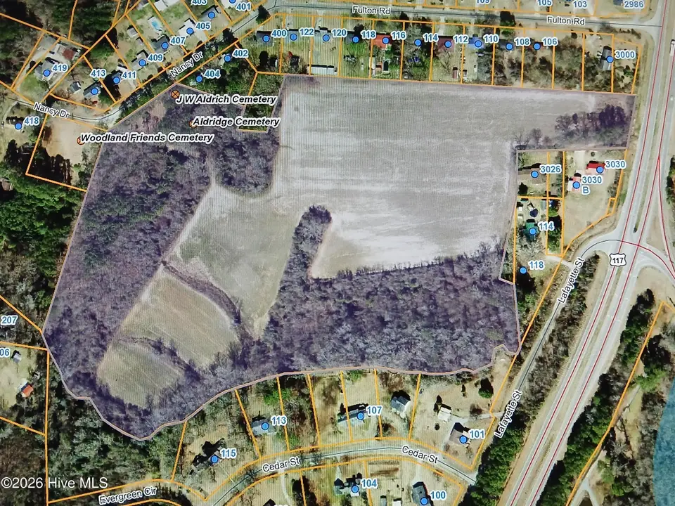 0 S Us 117 Hwy, Dudley, NC 27833 – photo 1 of 1: Map photo