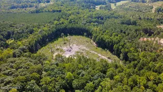 Tbd Dunhams Creek Lane, Carthage, NC 28327 — lot, Carthage, NC, photo 9 of 22