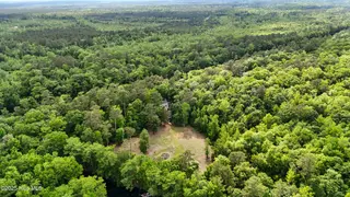 901 Riverview Drive, Burgaw, NC 28425 — 4-bedroom home in Alligator Lakes Estates, Burgaw, NC, photo 5 of 74: 90_drone