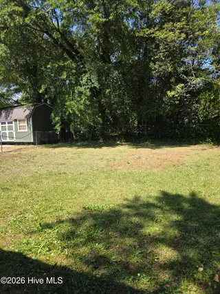 524 Dexter Street, Rocky Mount, NC 27803 – photo 10: backyard