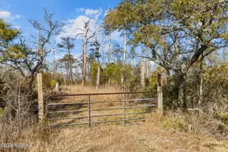 165 Goose Pond Road, Marshallberg, NC 28553 – photo 3: 1-web-or-mls-1S3A7896