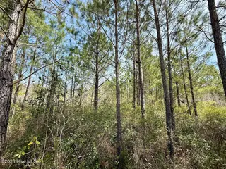 0 15 Guinea Mill Road, Ernul, NC 28527 – photo 20: IMG_1831