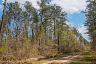0 Nc-903, Stokes, NC 27884 – photo 22: Stokes Tract 16