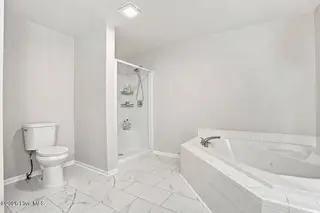 224 Lyons Road, Whitakers, NC 27891 – photo 19: 224 Lyons shower2