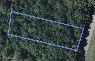 161 Old Washington Road, Vanceboro, NC 28586 — lot, Vanceboro, NC, photo 1 of 4: 01-Photo 1