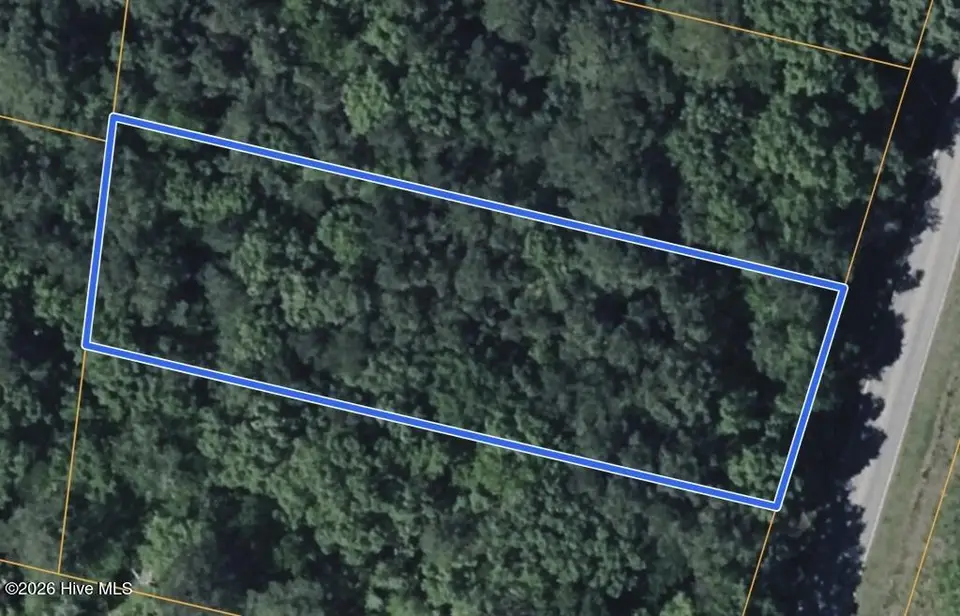 161 Old Washington Road, Vanceboro, NC 28586 — lot, Vanceboro, NC, photo 1 of 4: 01-Photo 1