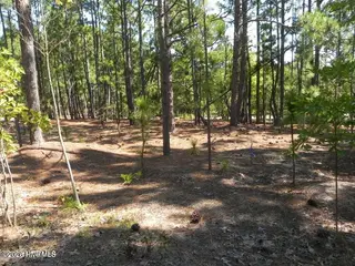 108 2283 Dartmoor Lane, West End, NC 27376 – photo 10: 20220921021132920905000000-o
