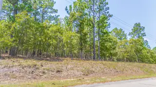 143 4021 Swaringen Drive, Seven Lakes, NC 27376 – photo 13: DJI_20260811130337_0029_D