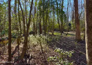 0 Fred Circle S, Kenly, NC 27542 – photo 4: Photo Jan 25 2025, 2 28 25 PM