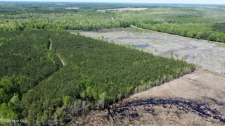Off Speights Chapel Road, Whitakers, NC 27891 – photo 7: DJI_0575